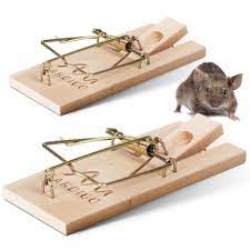 Mini Mouse Traps