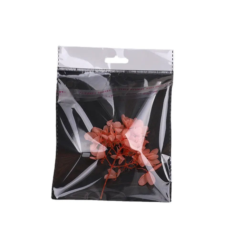 Polyprop Cellophane Selfseal Bags 6.5x18cm Euro Hole Hanging 100pack