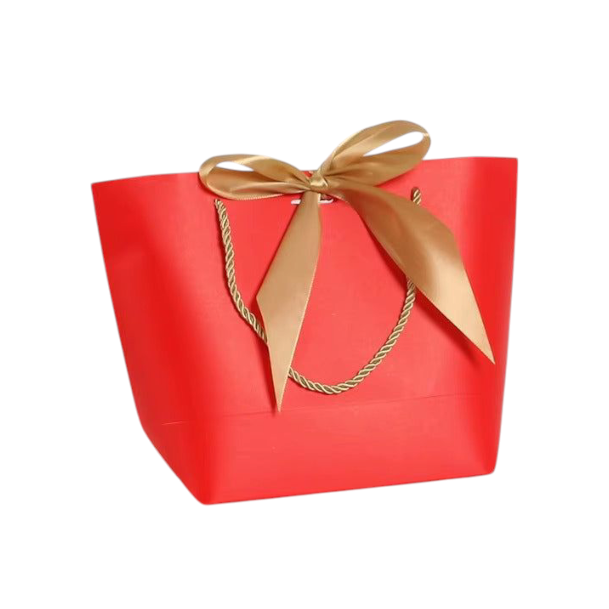 Designer Gift Paper Bag with Gold String Handle & Ribbon
