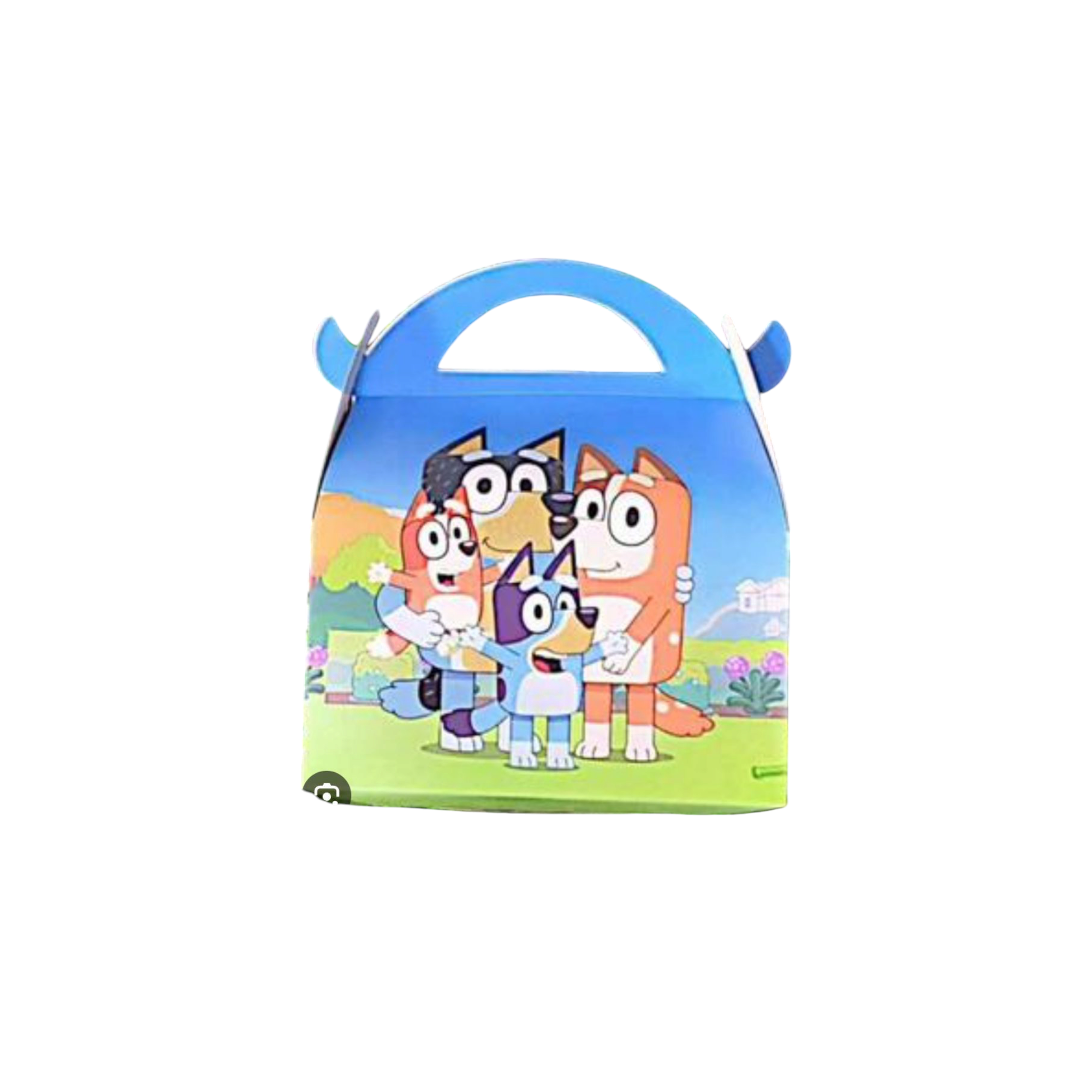 Disney Bluey Theme Party Supplies Set