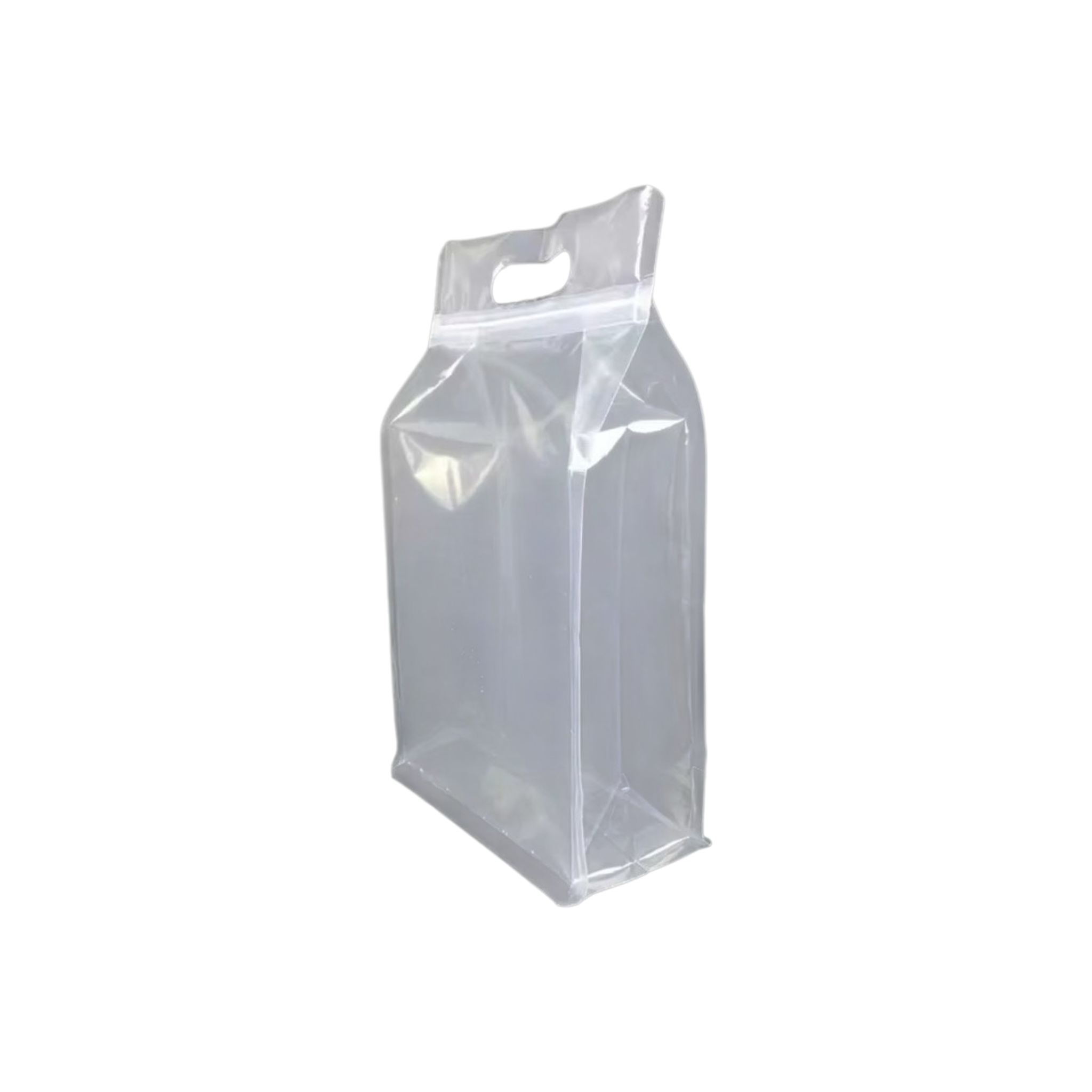Food Grade Zip Lock Stand-Up Carry Pouch Plastic Bags Portrait Transparent with Handle Flat Bottom Gusset 10pack Resealable