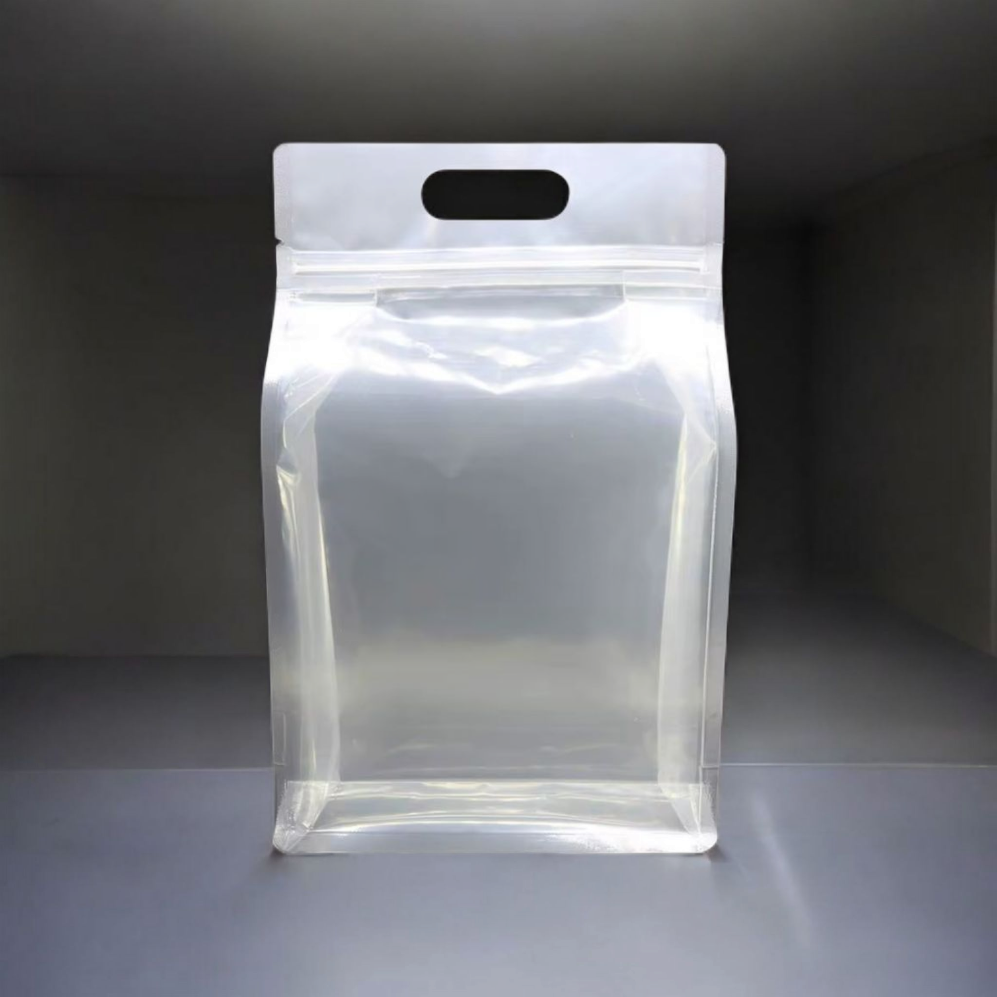 Food Grade Zip Lock Stand-Up Carry Pouch Plastic Bags Portrait Transparent with Handle Flat Bottom Gusset 10pack Resealable