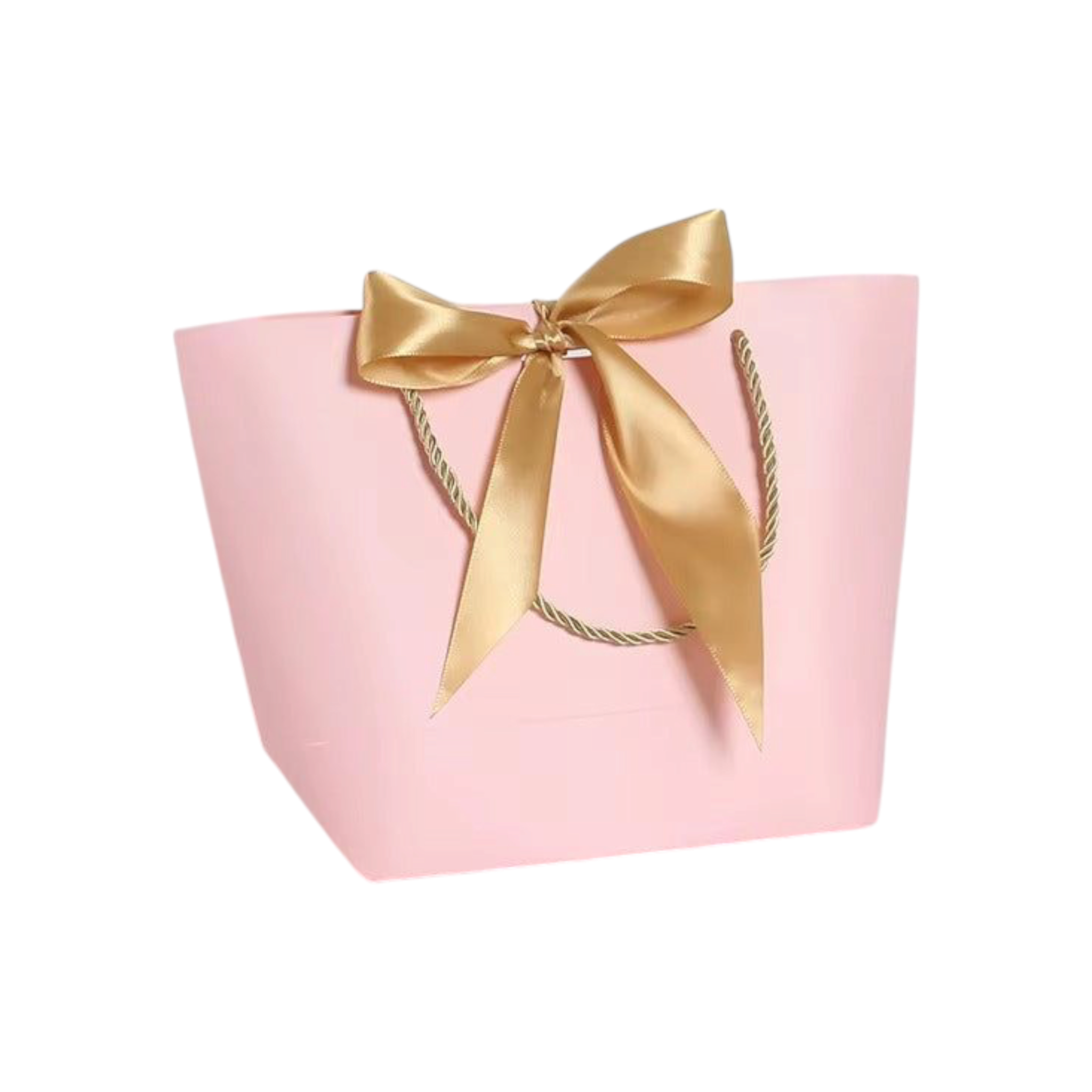 Designer Gift Paper Bag with Gold String Handle & Ribbon