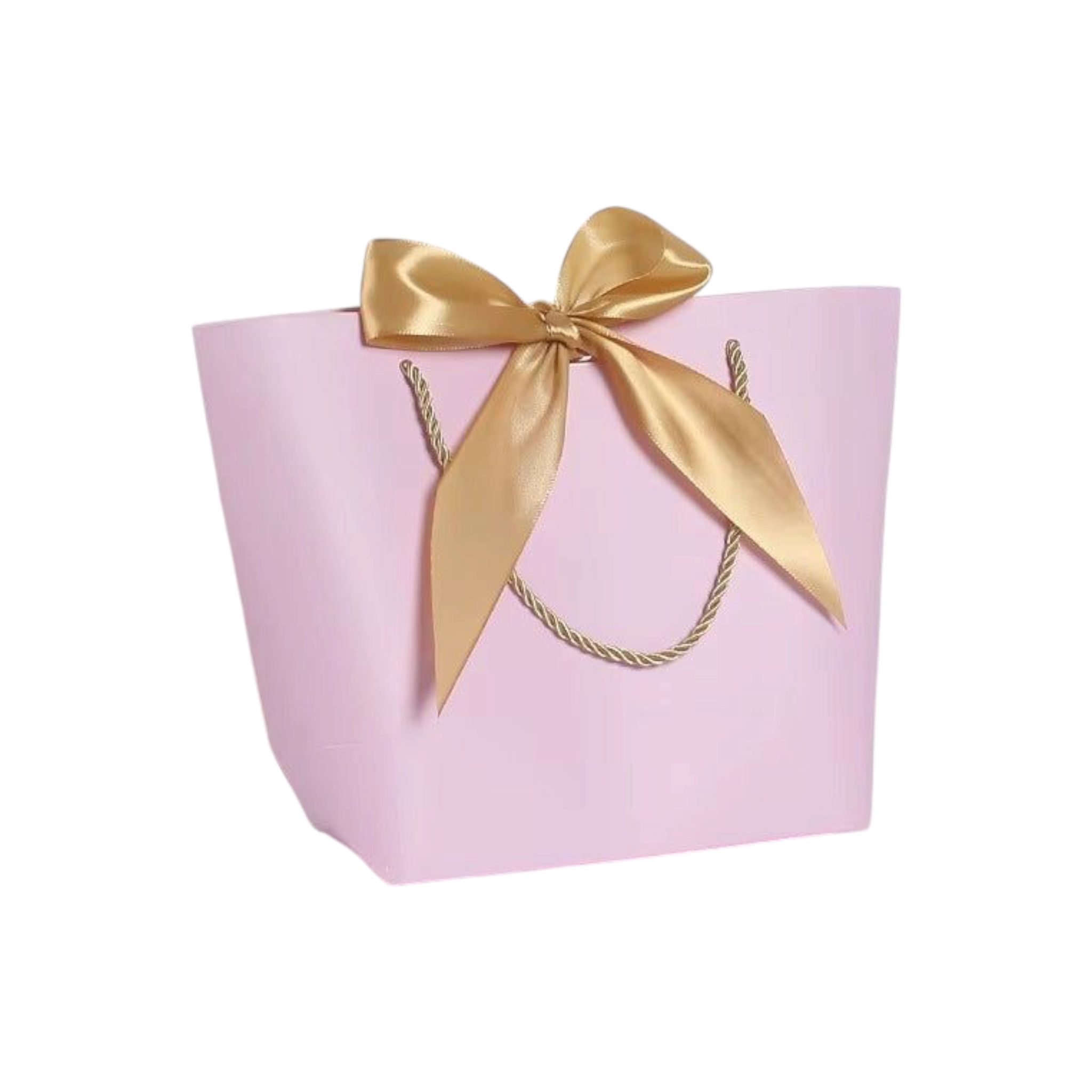 Designer Gift Paper Bag with Gold String Handle & Ribbon