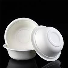 Biodegradable Bagasse Takeaway Bowl 350ml 10pack 13.5x4.5cm depth