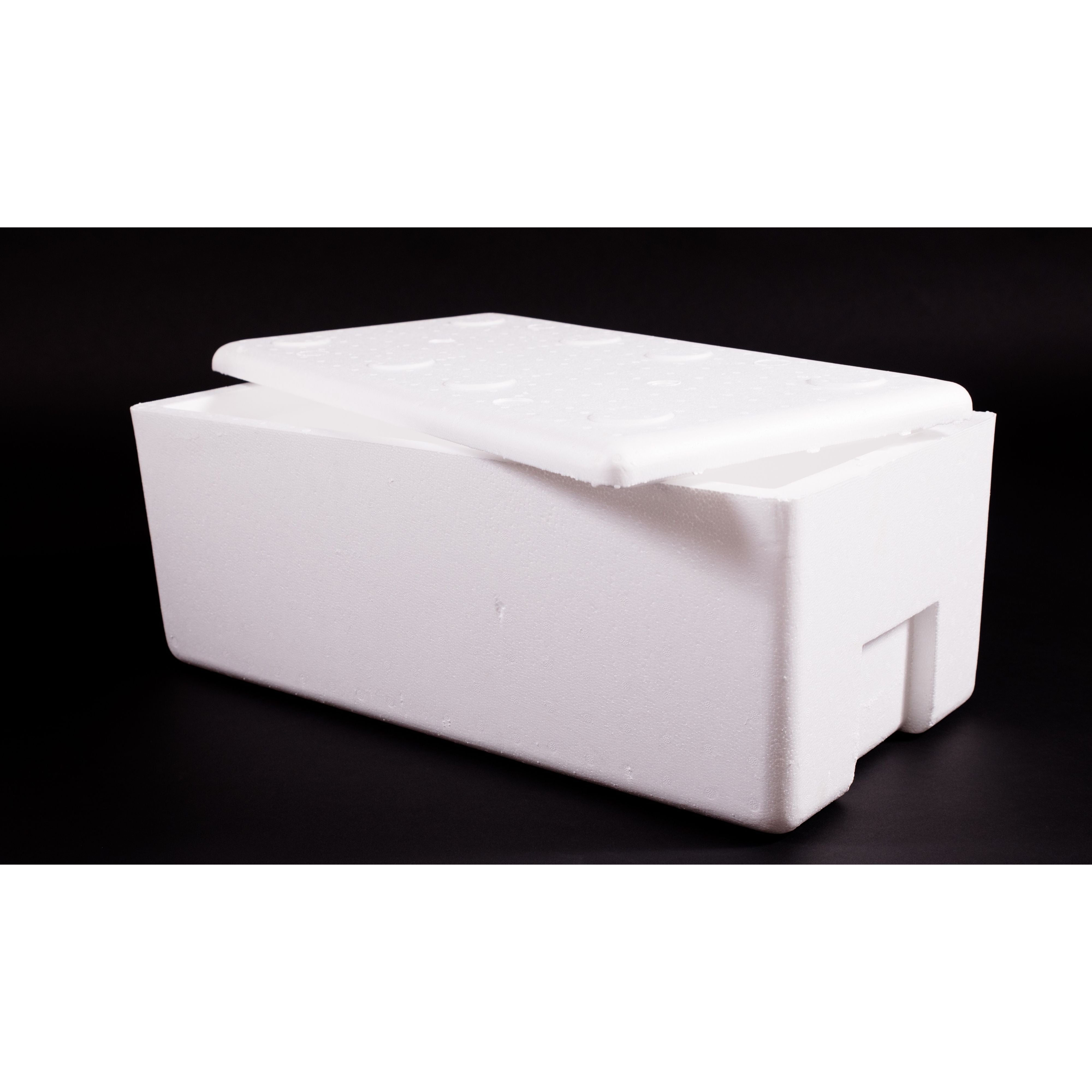 Polystyrene Cooler Box 20kg Thermal Storage Box