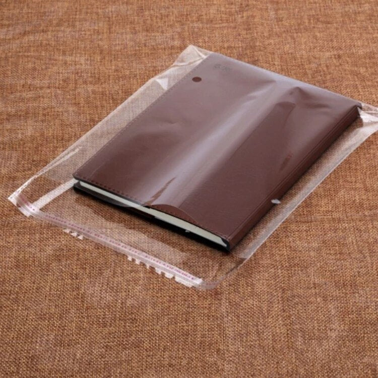 Polyprop Cellophane Selfseal Long Bags 8x60+4cm 30mic with Punch Hole 100pack