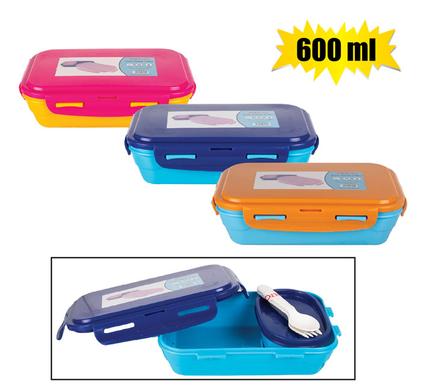 Lunch Box 600ml with Mini Container Box