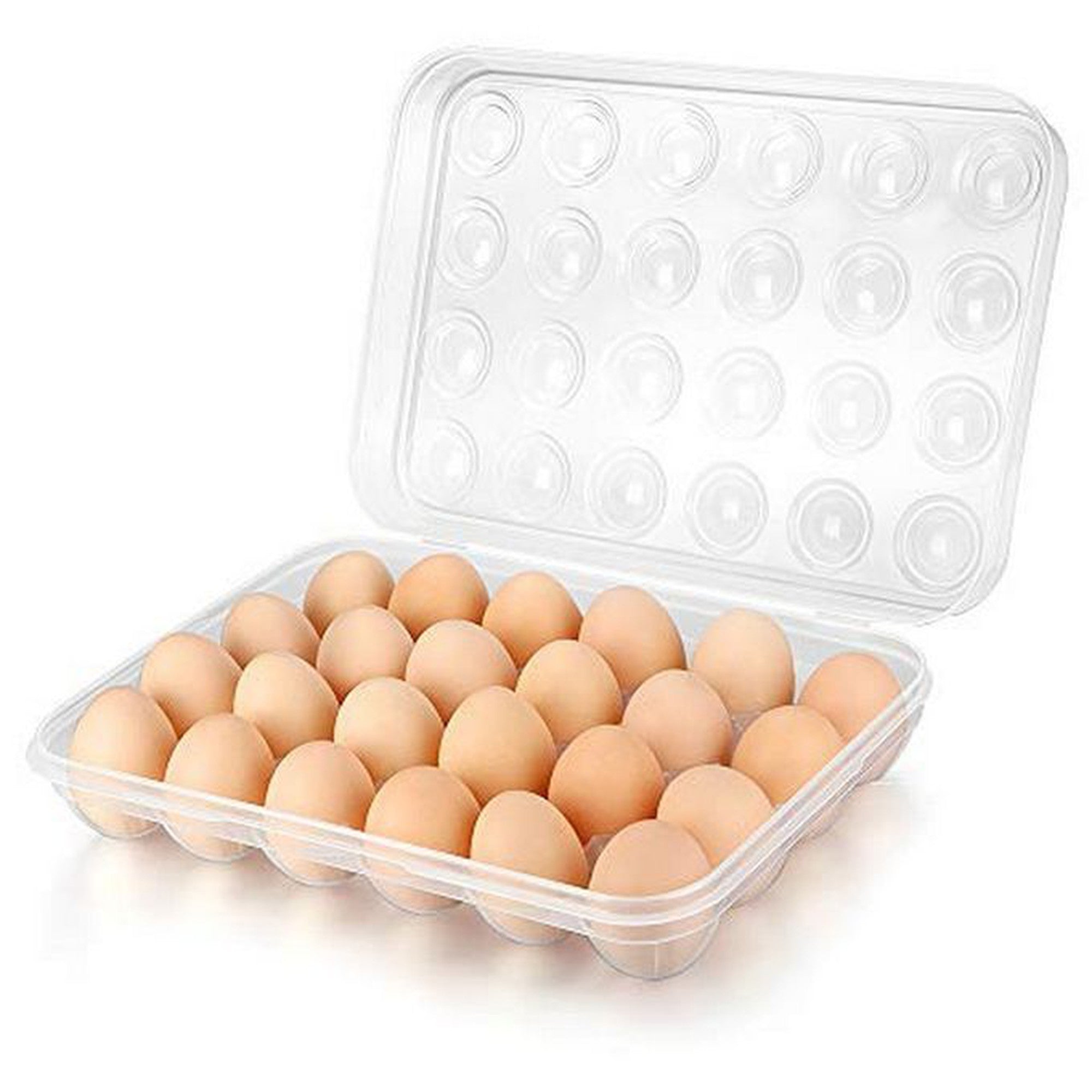 Plastic Egg Storage Tray Holder 24-Grid Clamshell Box Formosa