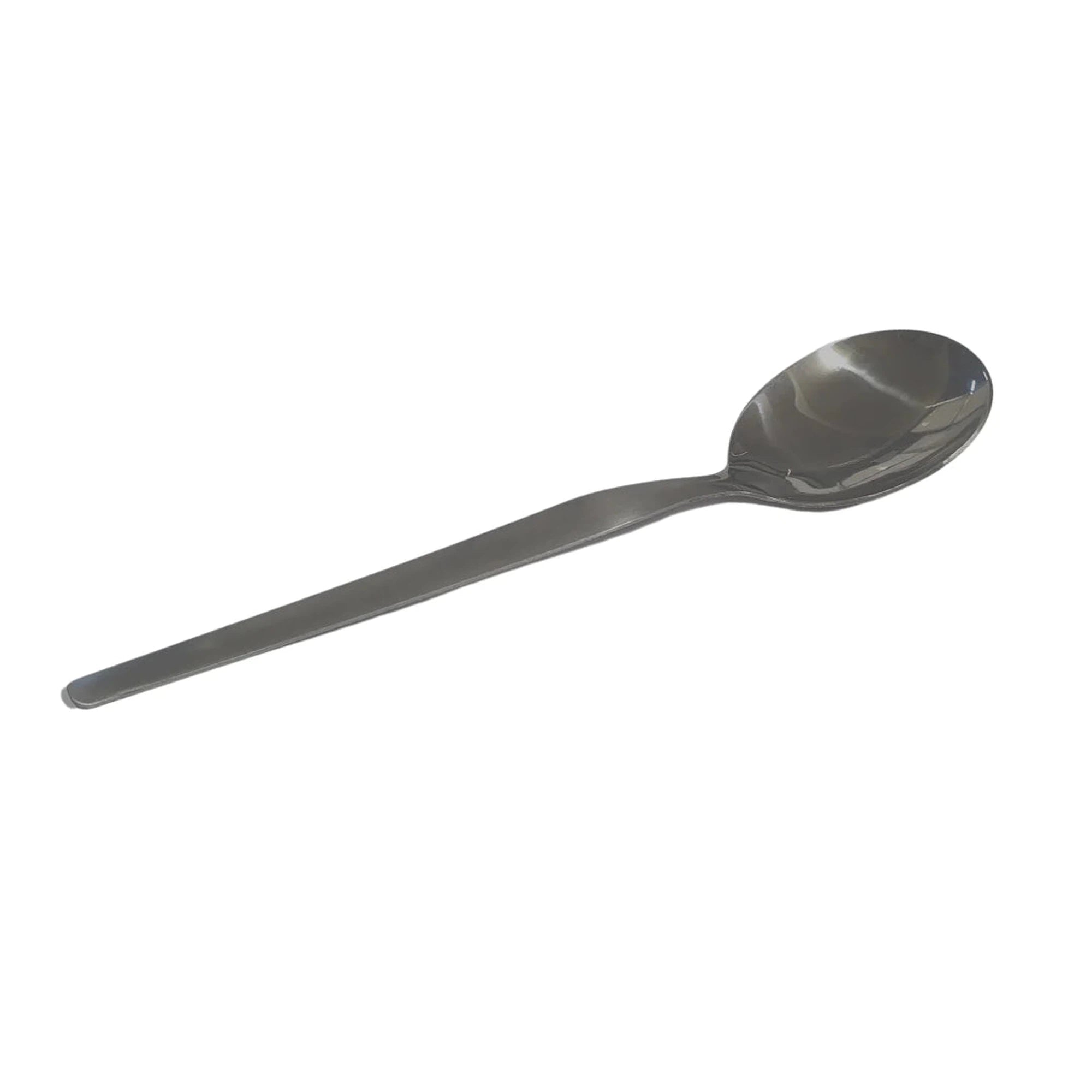 Eloff Shiny Curry Spoon 25cm Matte Stainless Steel SGN930