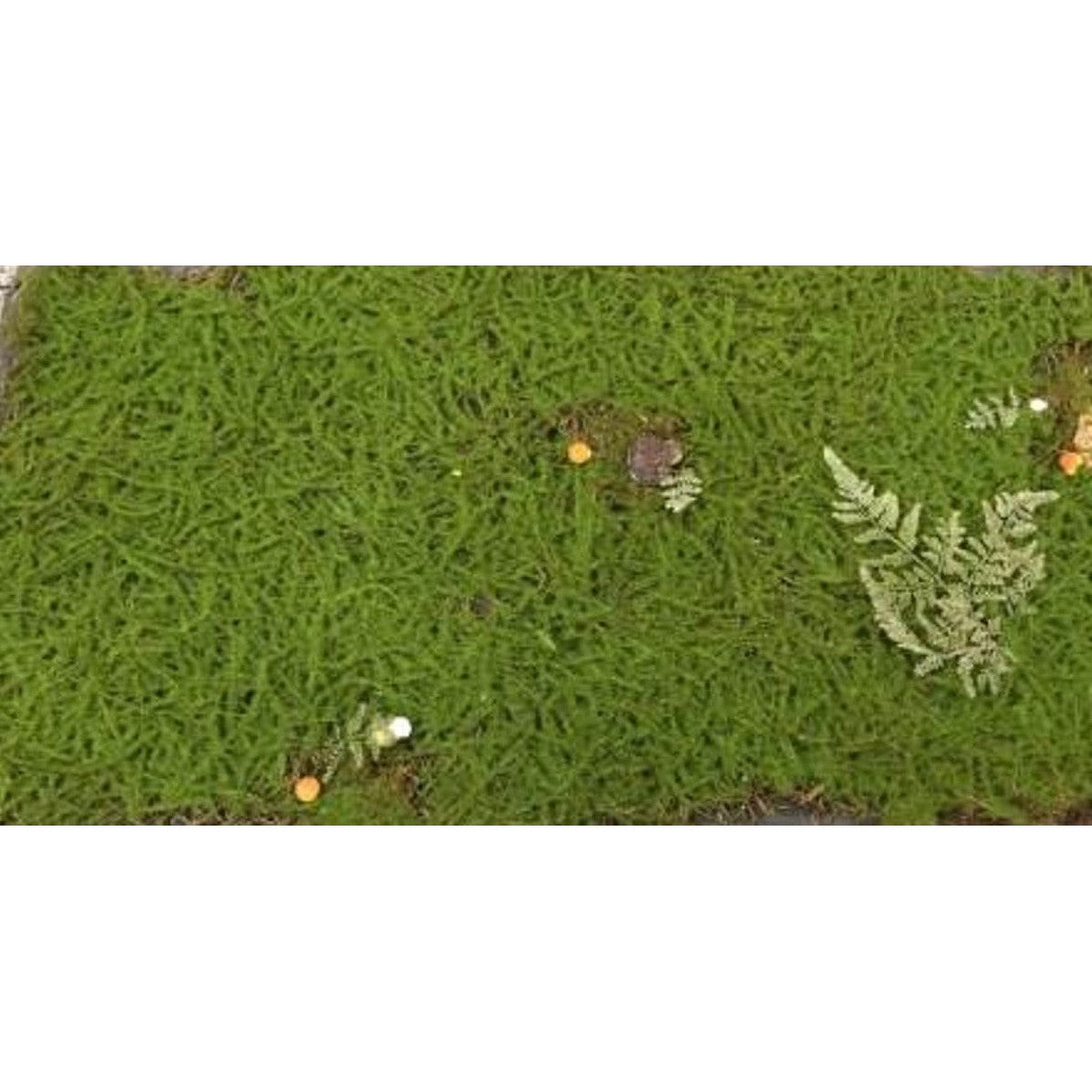 Artificial Decorative Green Algae Decorative Duckweed Grass Mat 50cmx100cm with leaves 360