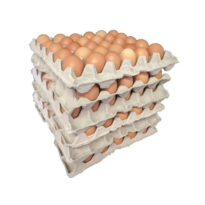 Egg Packaging Trays 21/2 Dozen30 Division Pack of 150 Trays