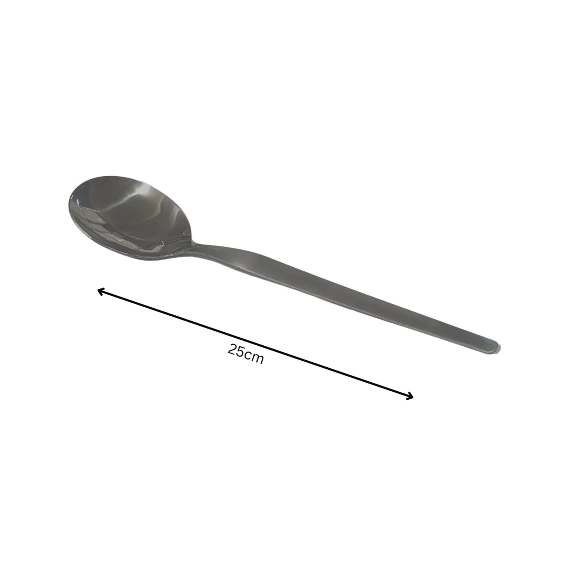 Eloff Shiny Curry Spoon 25cm Matte Stainless Steel SGN930