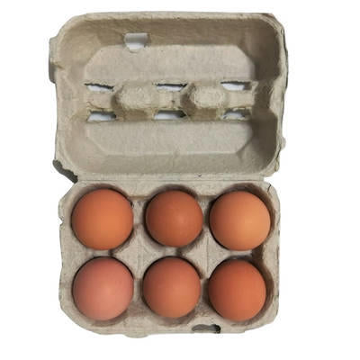 Egg Packaging Trays 1-Doz-2x6 Division - Pack of 85 Trays