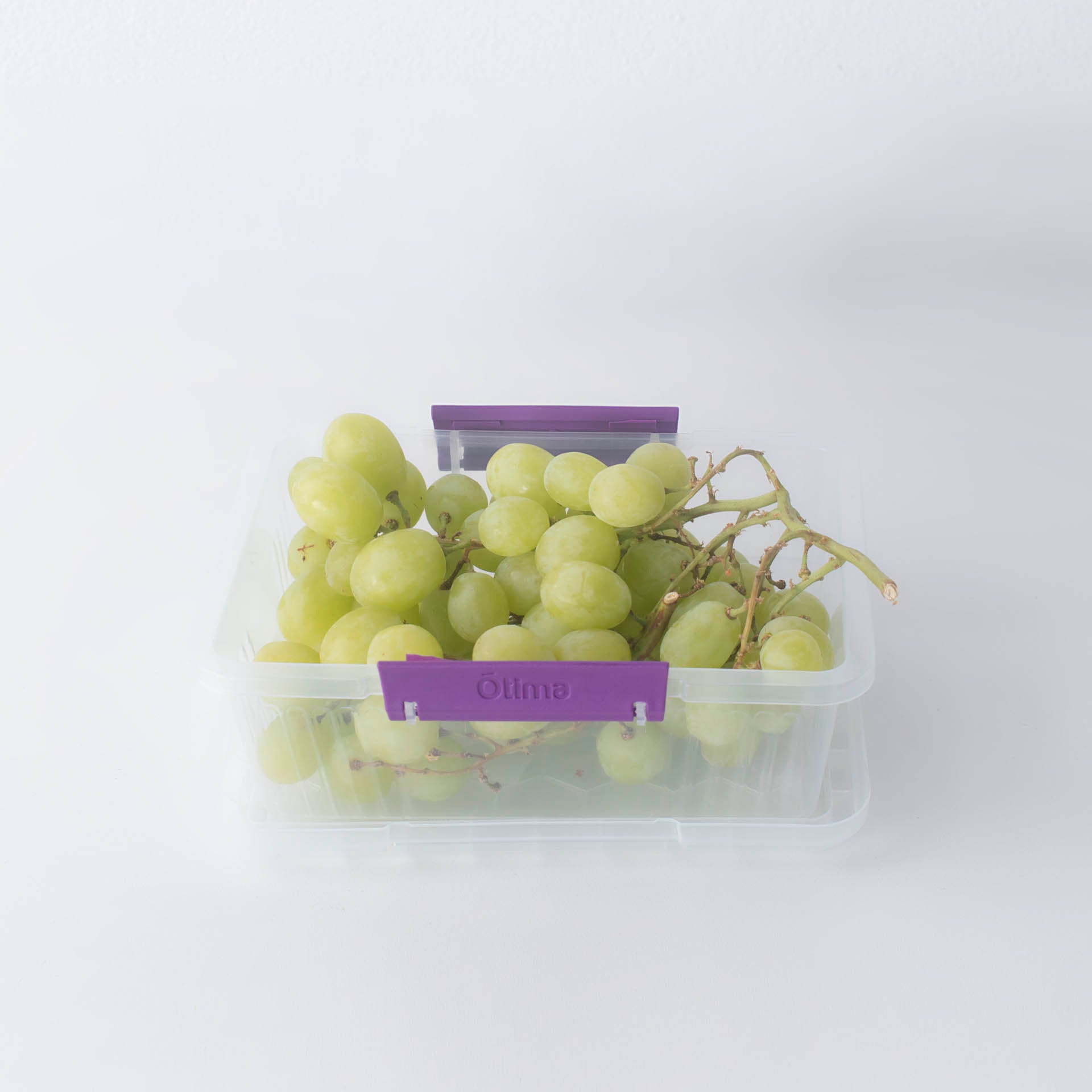 Otima Lock Lunch Box 1.1L Plastic