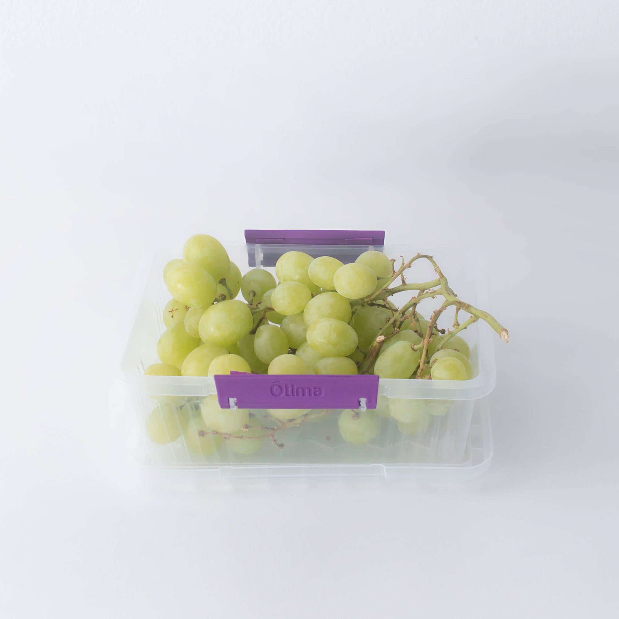 Otima Lock Lunch Box 1.1L Plastic