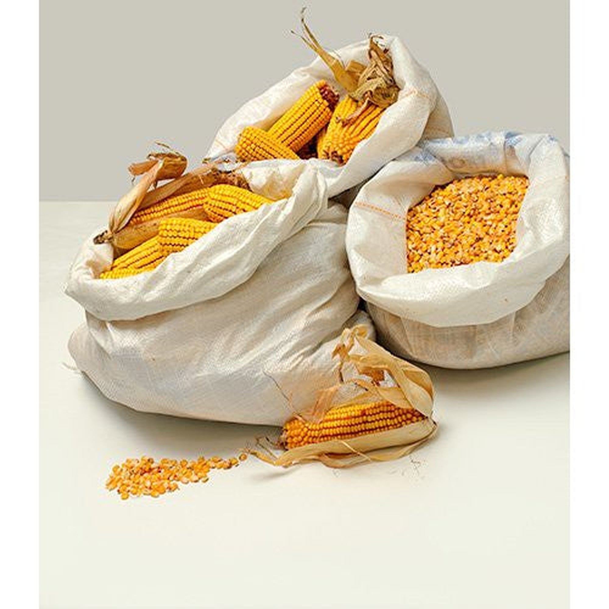 Polypropylene Woven Sack Bags 40x65cm 12.5kg