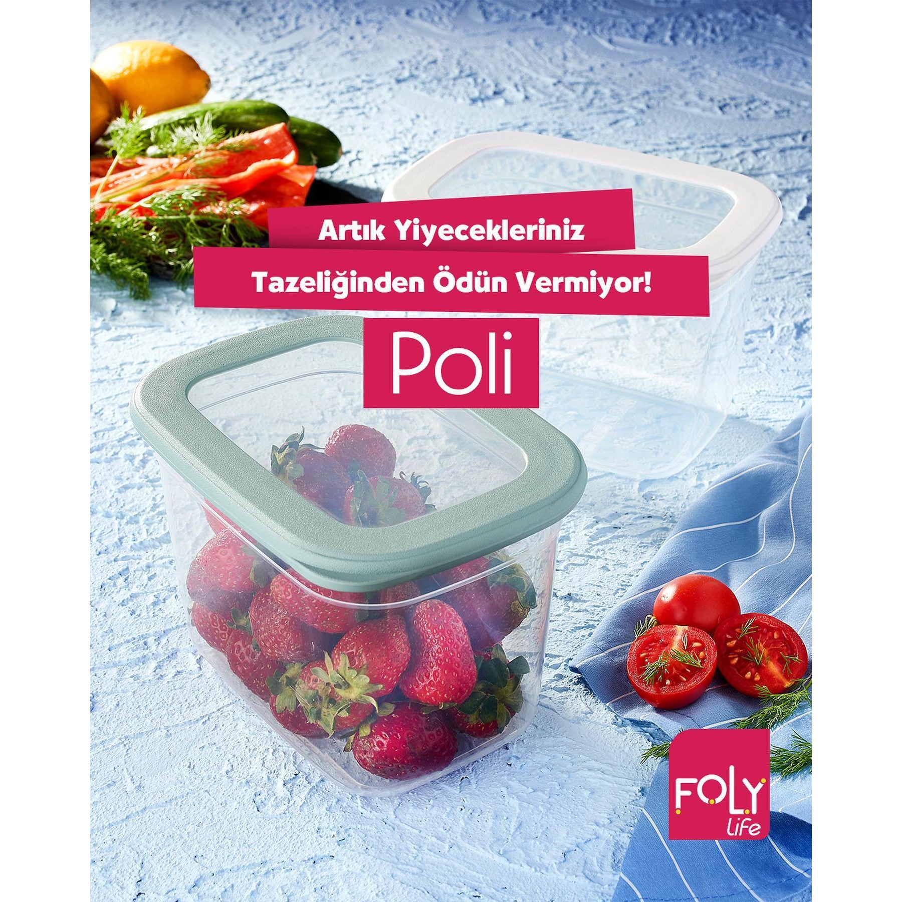 Foly Life Poli Storage Box 800ml with Tight Lid BNM0117 Titiz