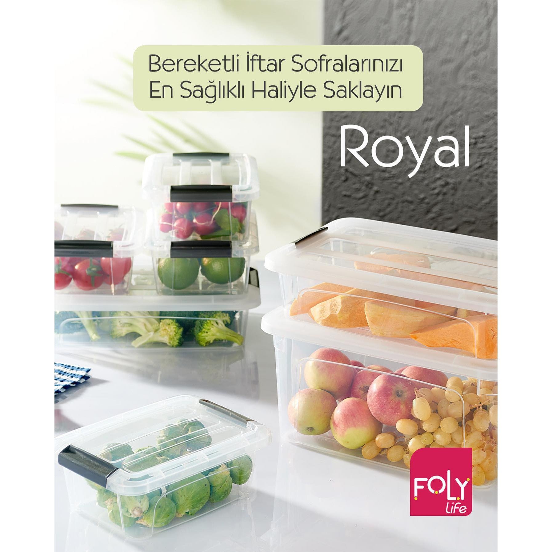 Foly Life Royal Storage Box 1.2L with Lock Lid BNM0391 Titiz