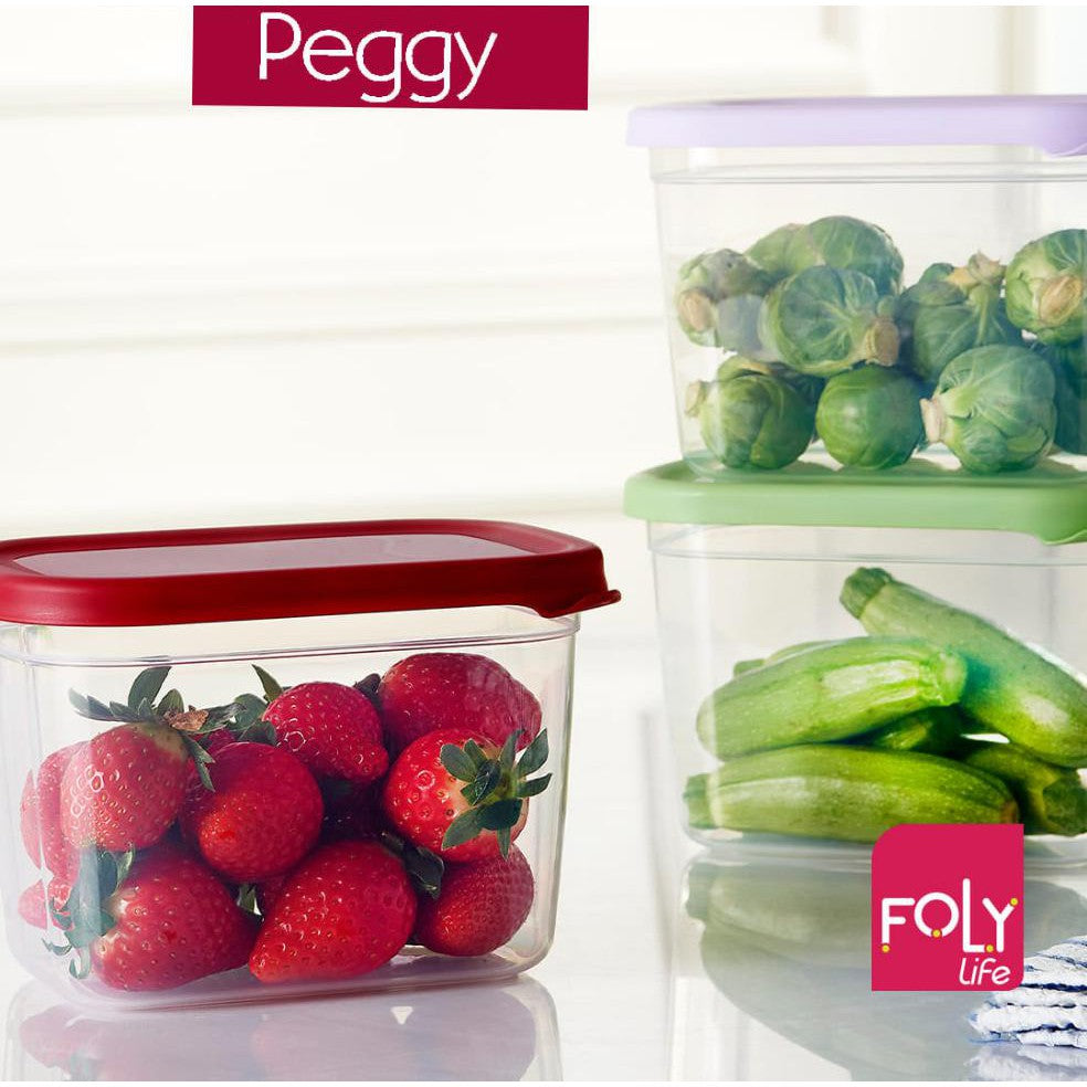 Foly Life Peggy Deep Storage Box 3 Pack 800ml/1.3L/2.3L with Tight Lid 0537 Titiz