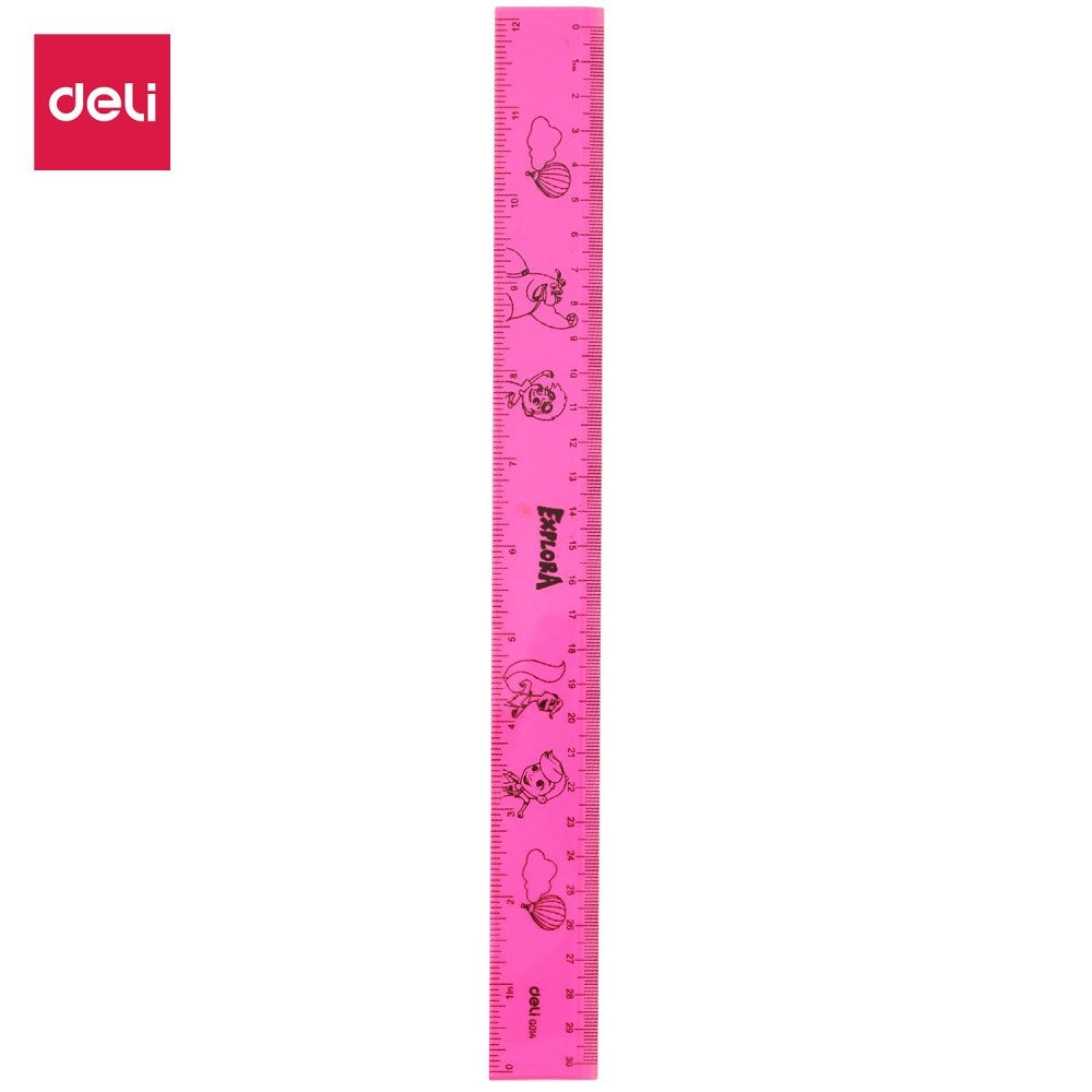 Deli Drafting Ruler 30cm/12Inch