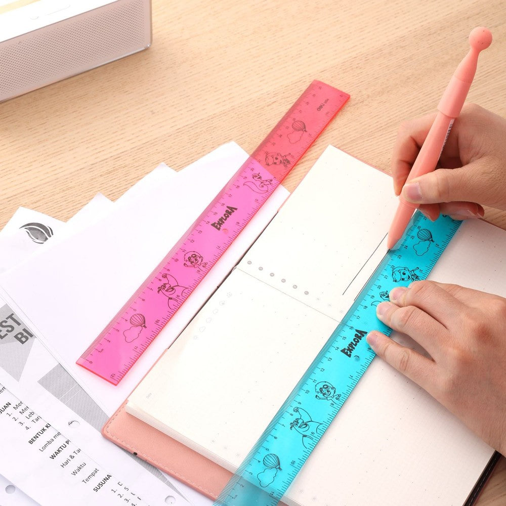 Deli Drafting Ruler 30cm/12Inch
