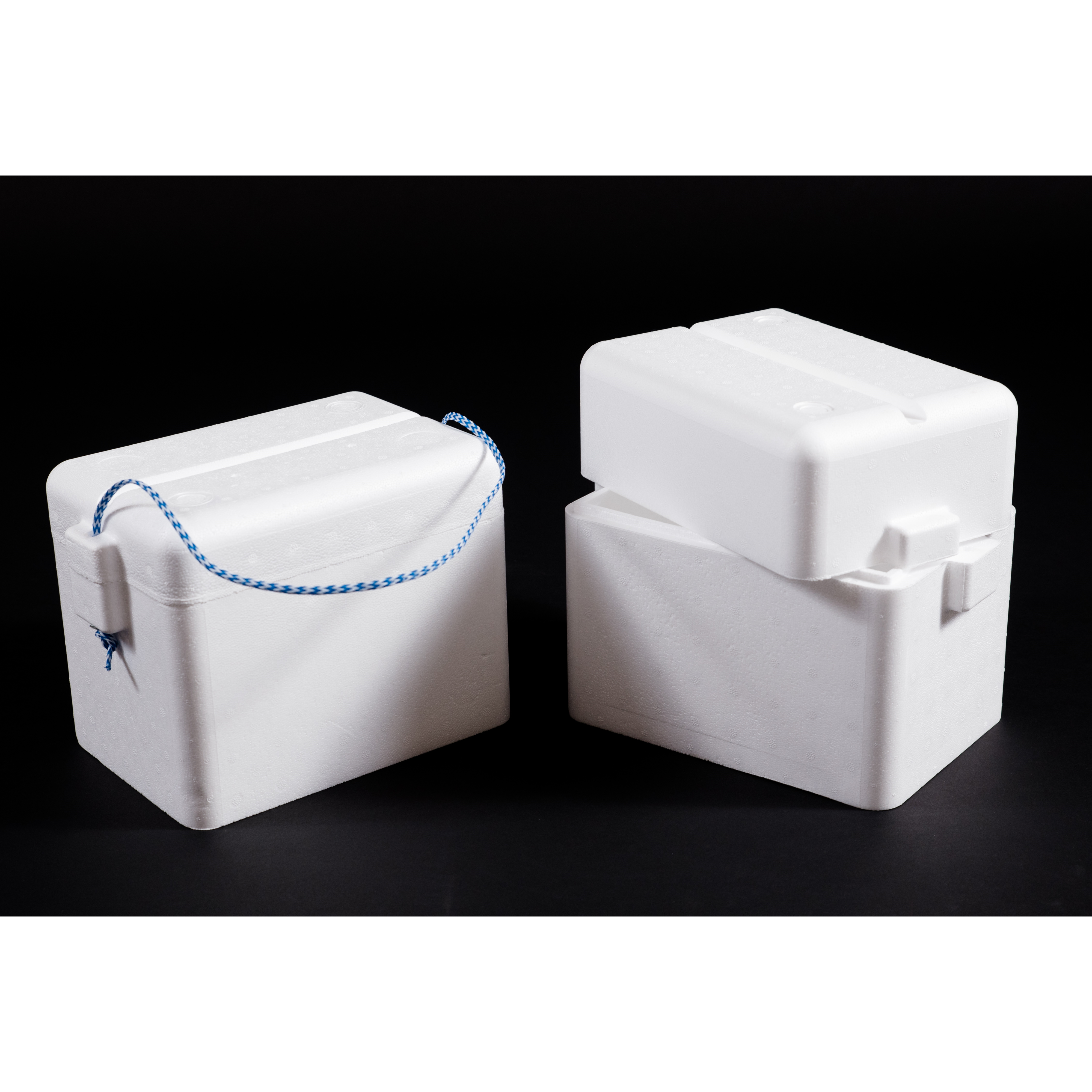 Polystyrene 6L Cooler Box Deep with Rope Thermal Storage Box - Fits 6-Pack