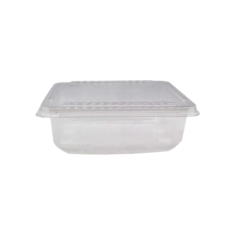 Zibo Disposable Deli/Fruit/Salad/Fast Food Container FT29C with L360 Lid 10 pack