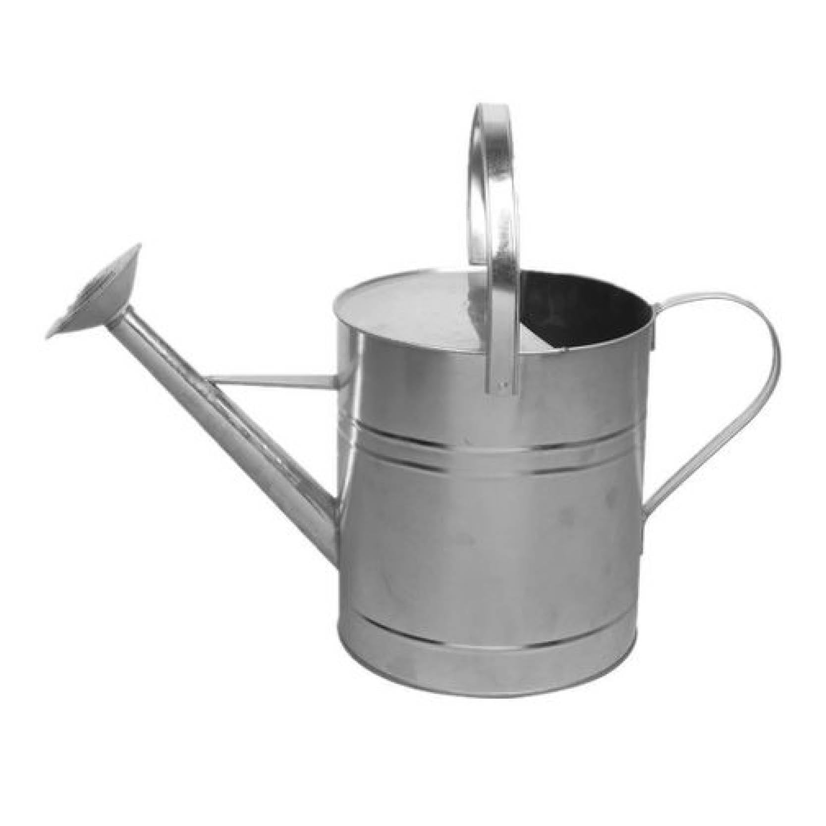 Watering Can 10L Galvanized 029 000020