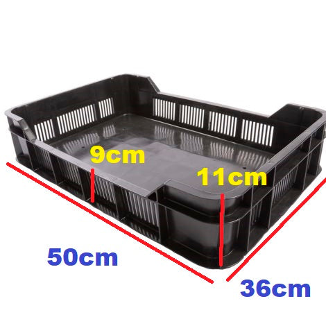 Plastic Agri Crate Mini Black - Berry Tray Black