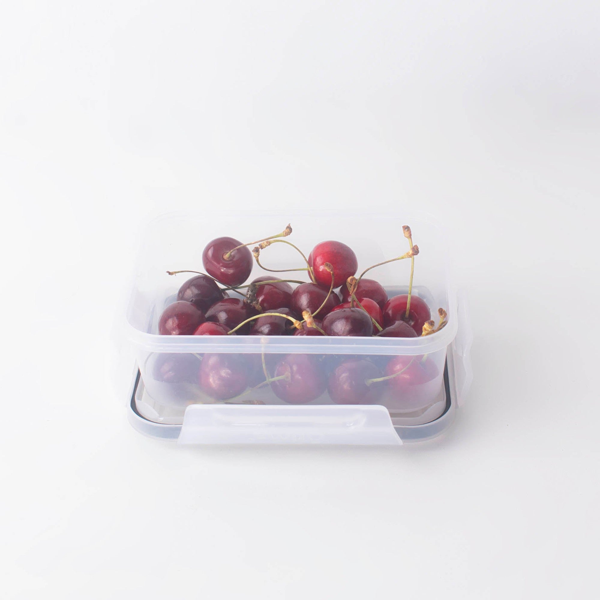 Otima Quatro Lunch Box 600ml