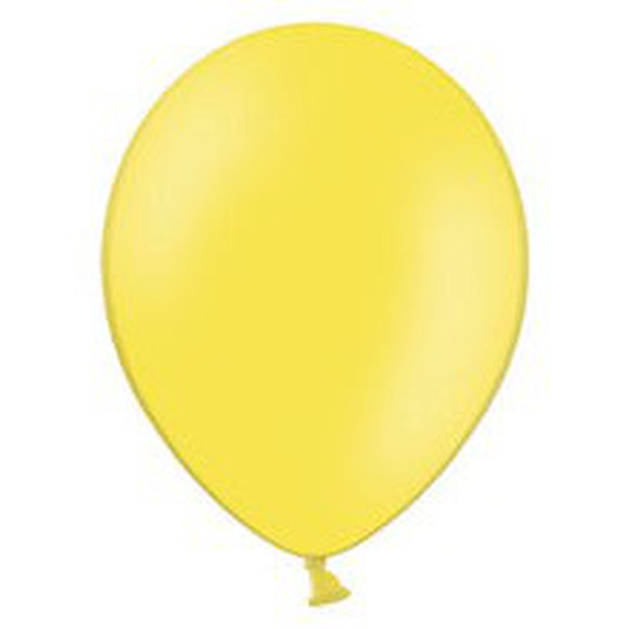 Latex Pastel Party Balloons B105 10pack