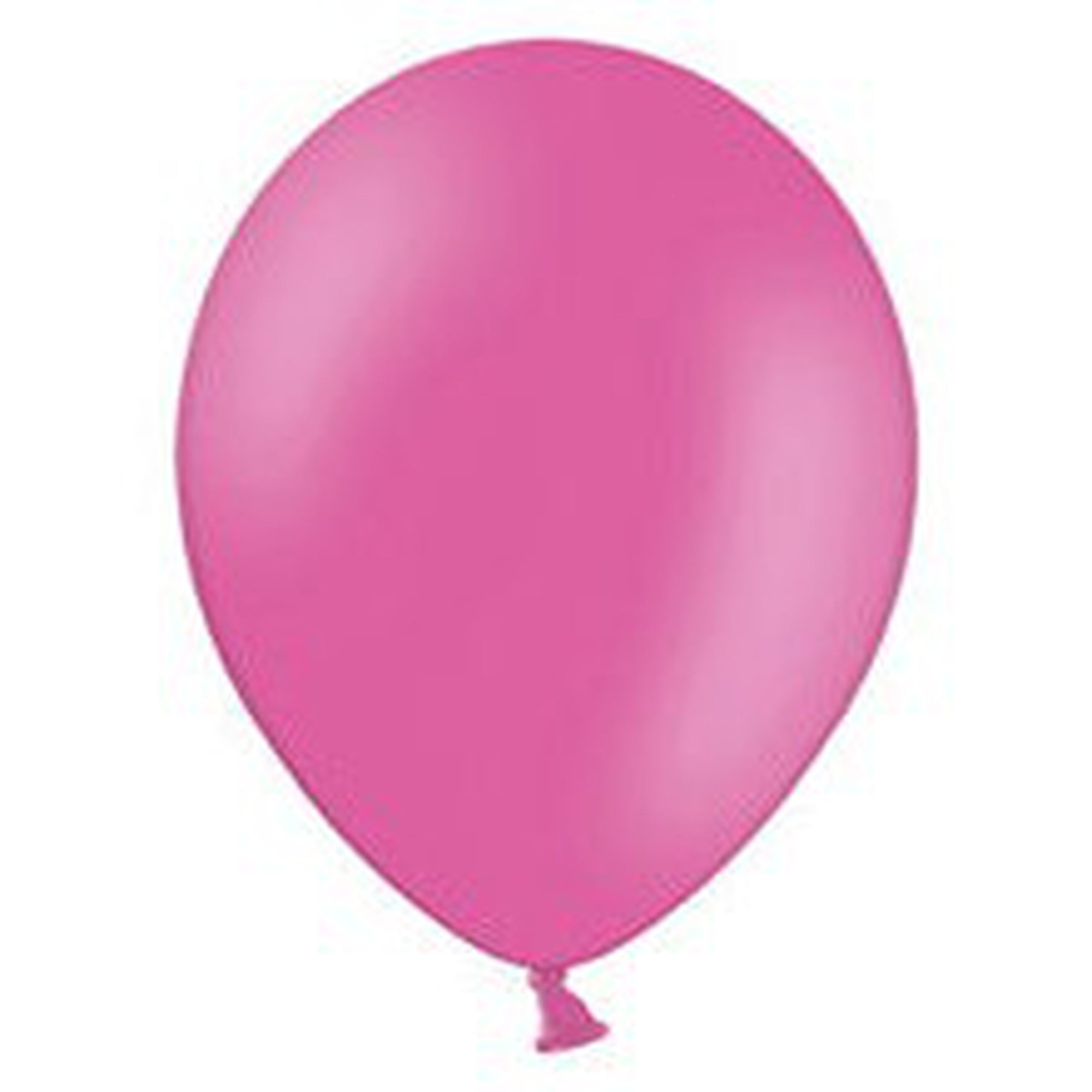 Latex Pastel Party Balloons B105 10pack