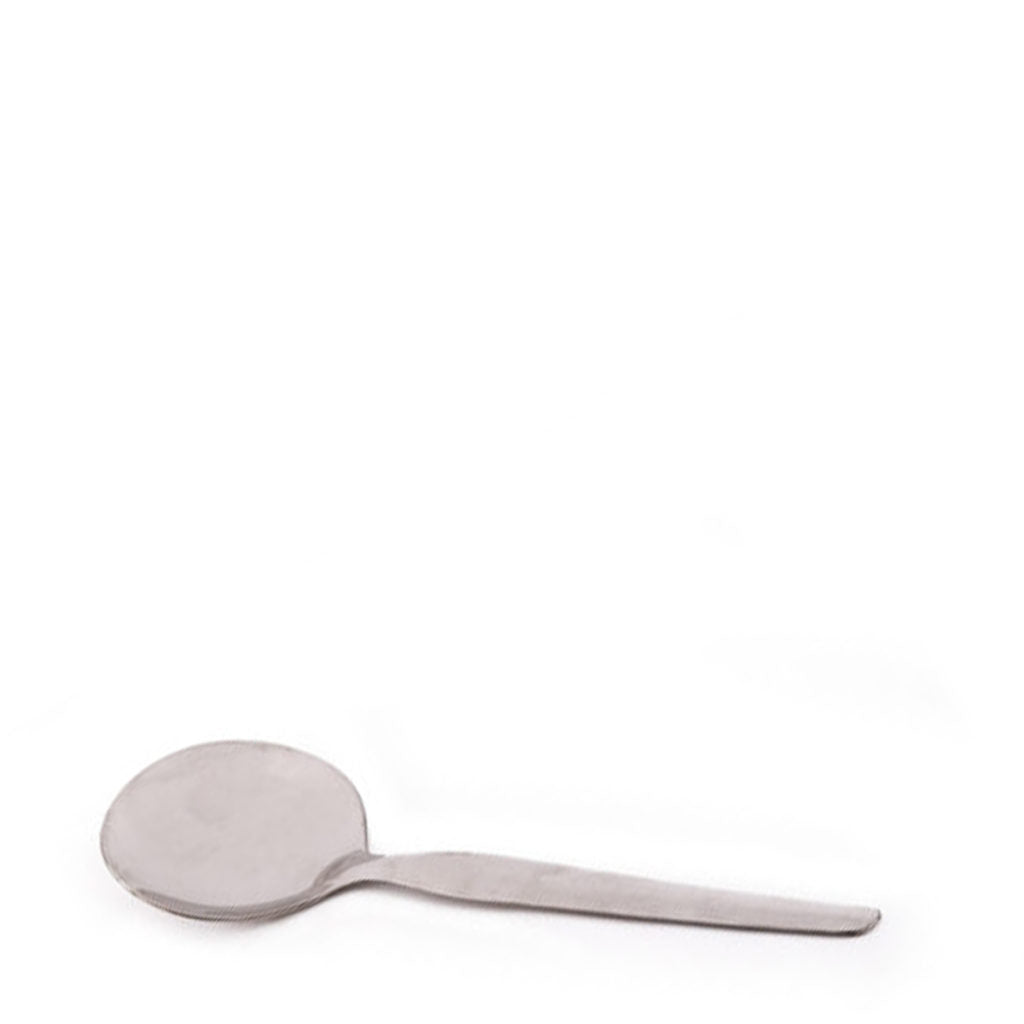 Eloff Curry Spoon Stainless Steel