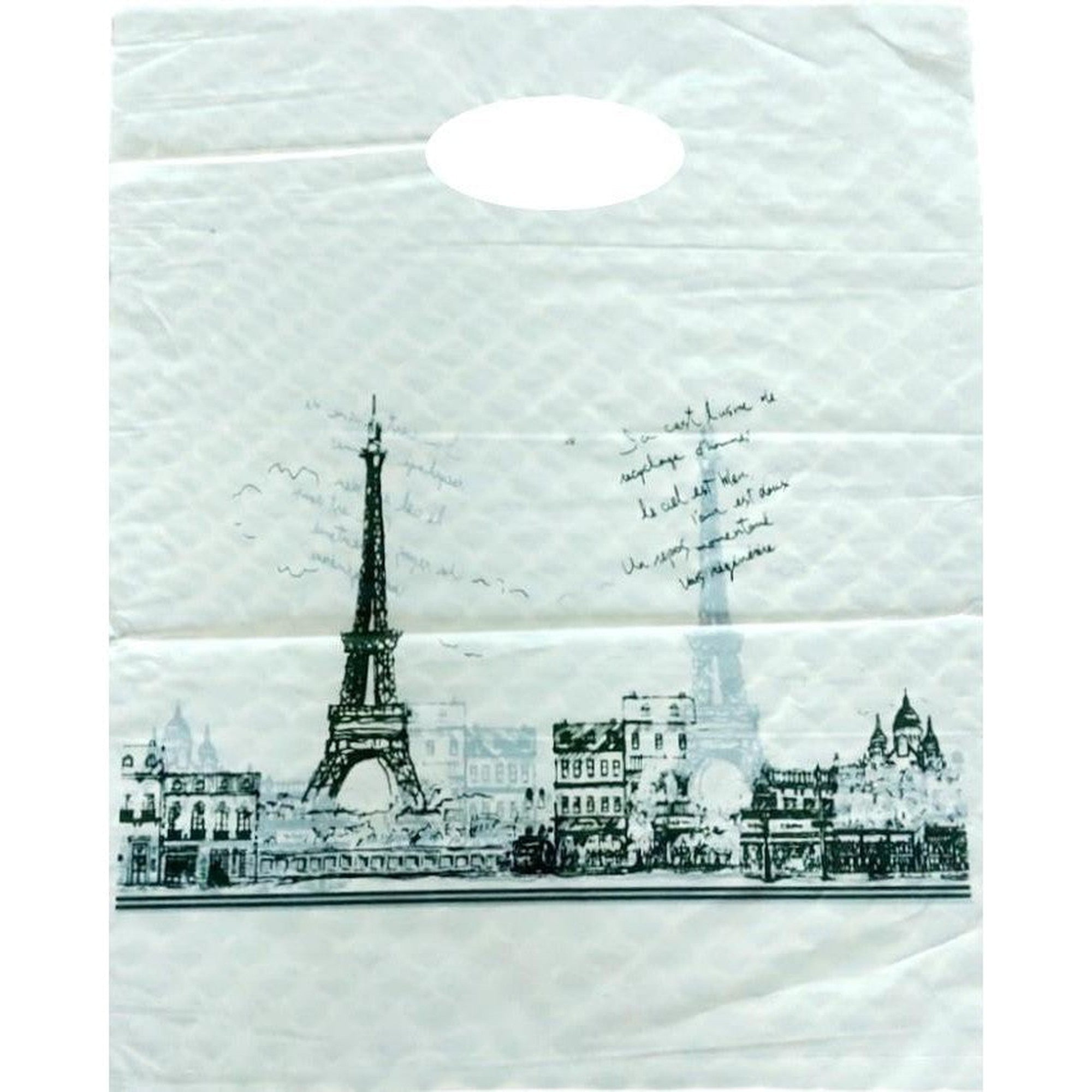 Plastic Boutique Bag Printed Large 30x40cm 25pack