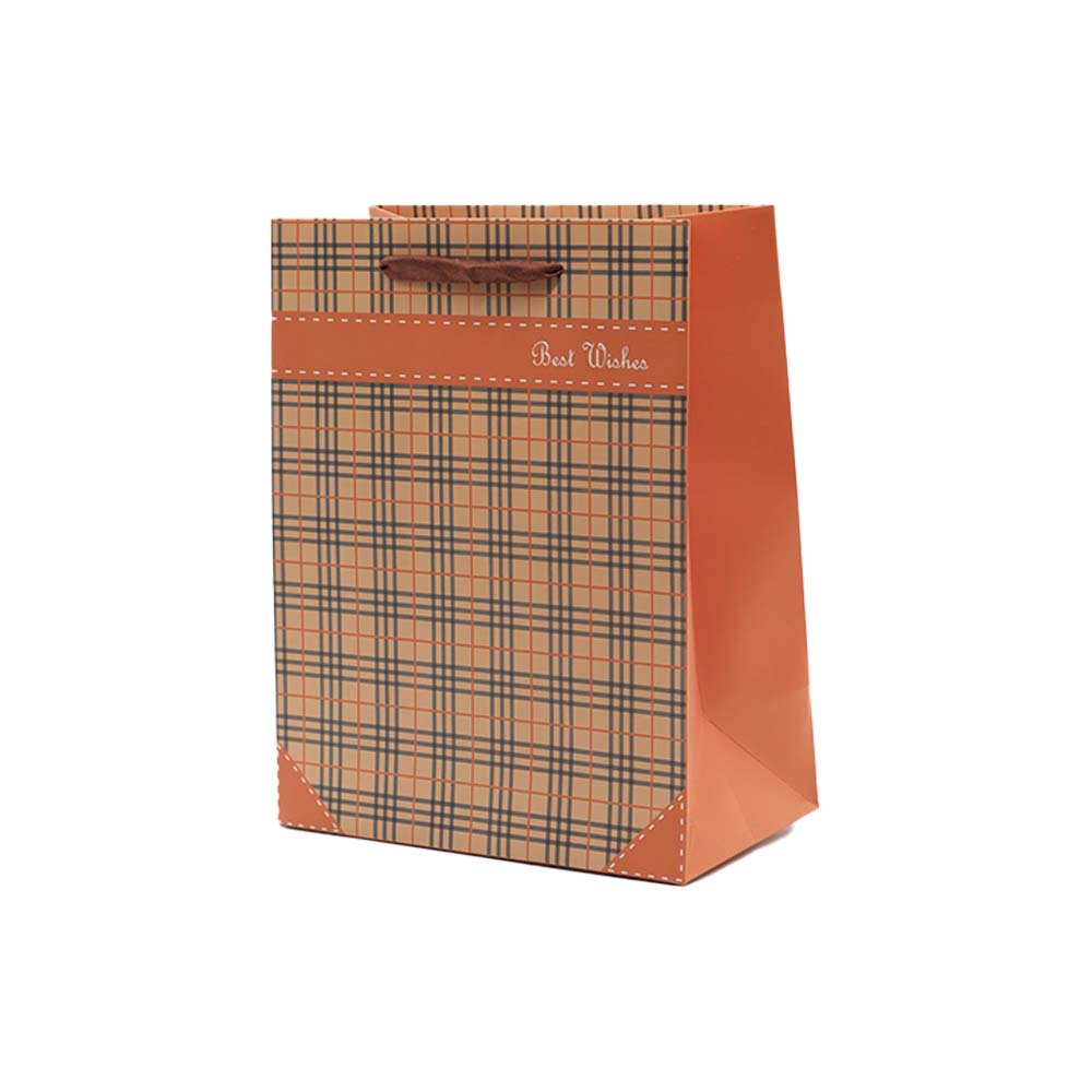 Gift Paper Bag Checkbox 18x23cm Small