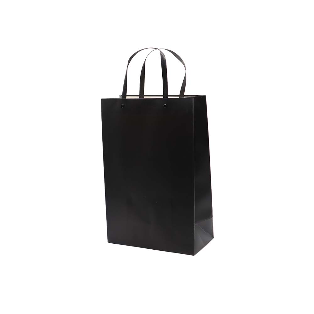 Gift Paper Bag Shopper 24x12xcm Large