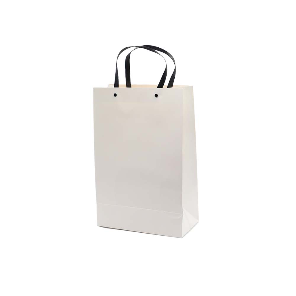 Gift Paper Bag Shopper 24x12xcm Large