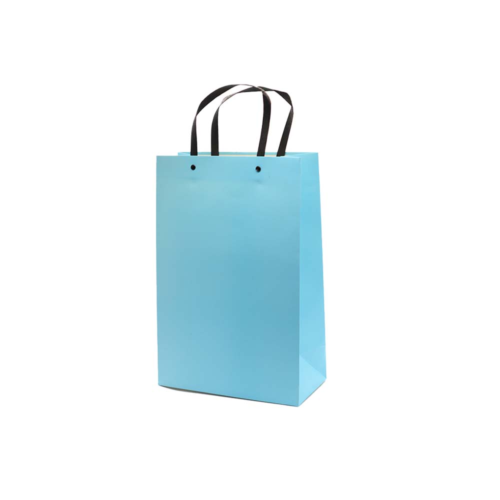 Gift Paper Bag Shopper 24x12xcm Large