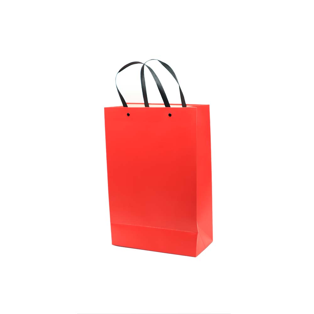 Gift Paper Bag Shopper 24x12xcm Large