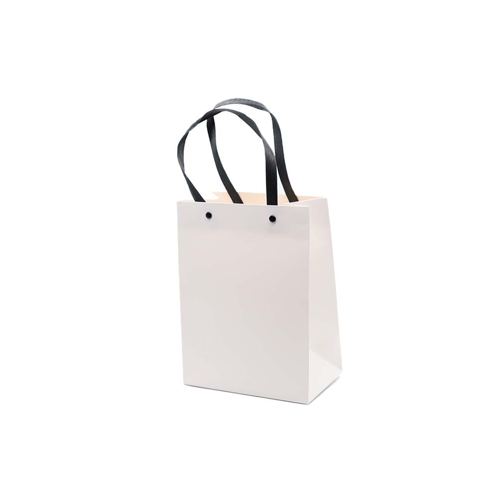 Gift Paper Bag Shopper 17x10cm Medium