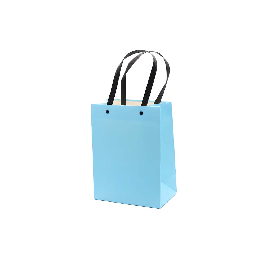 Gift Paper Bag Shopper 17x10cm Medium