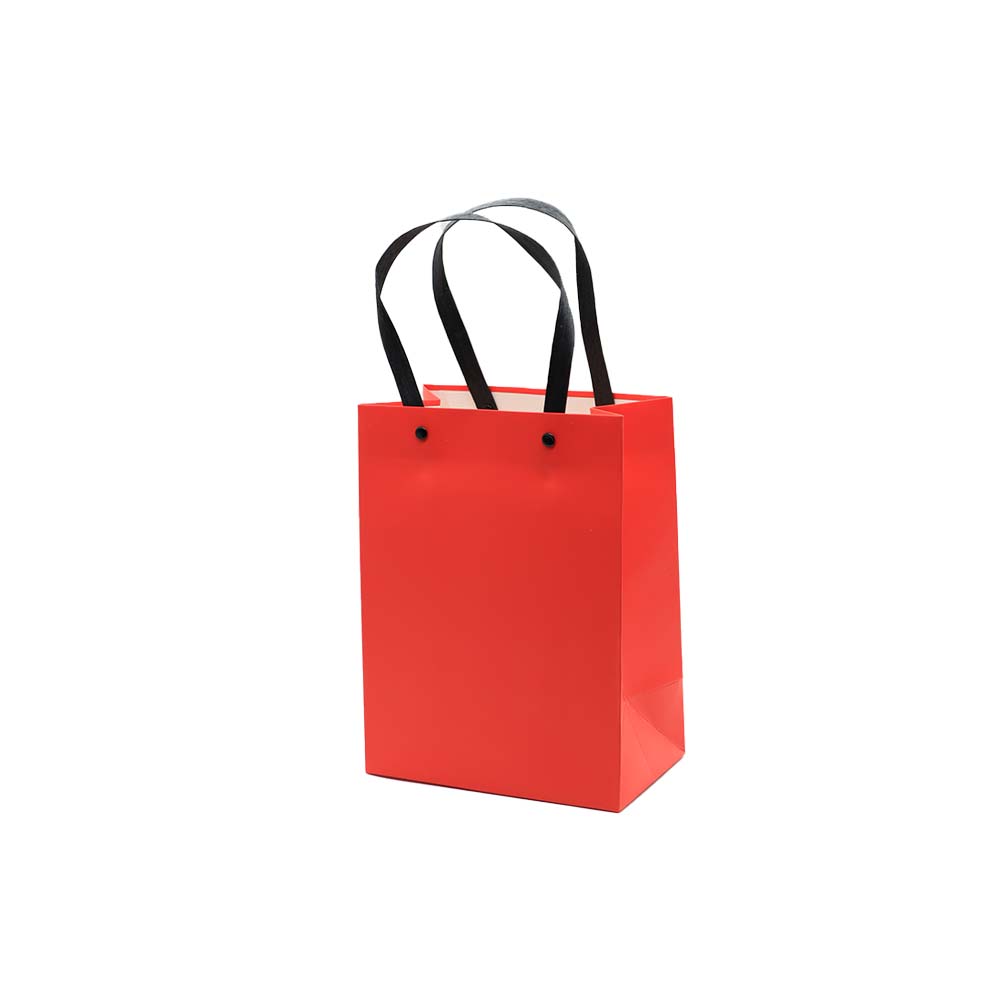 Gift Paper Bag Shopper 17x10cm Medium