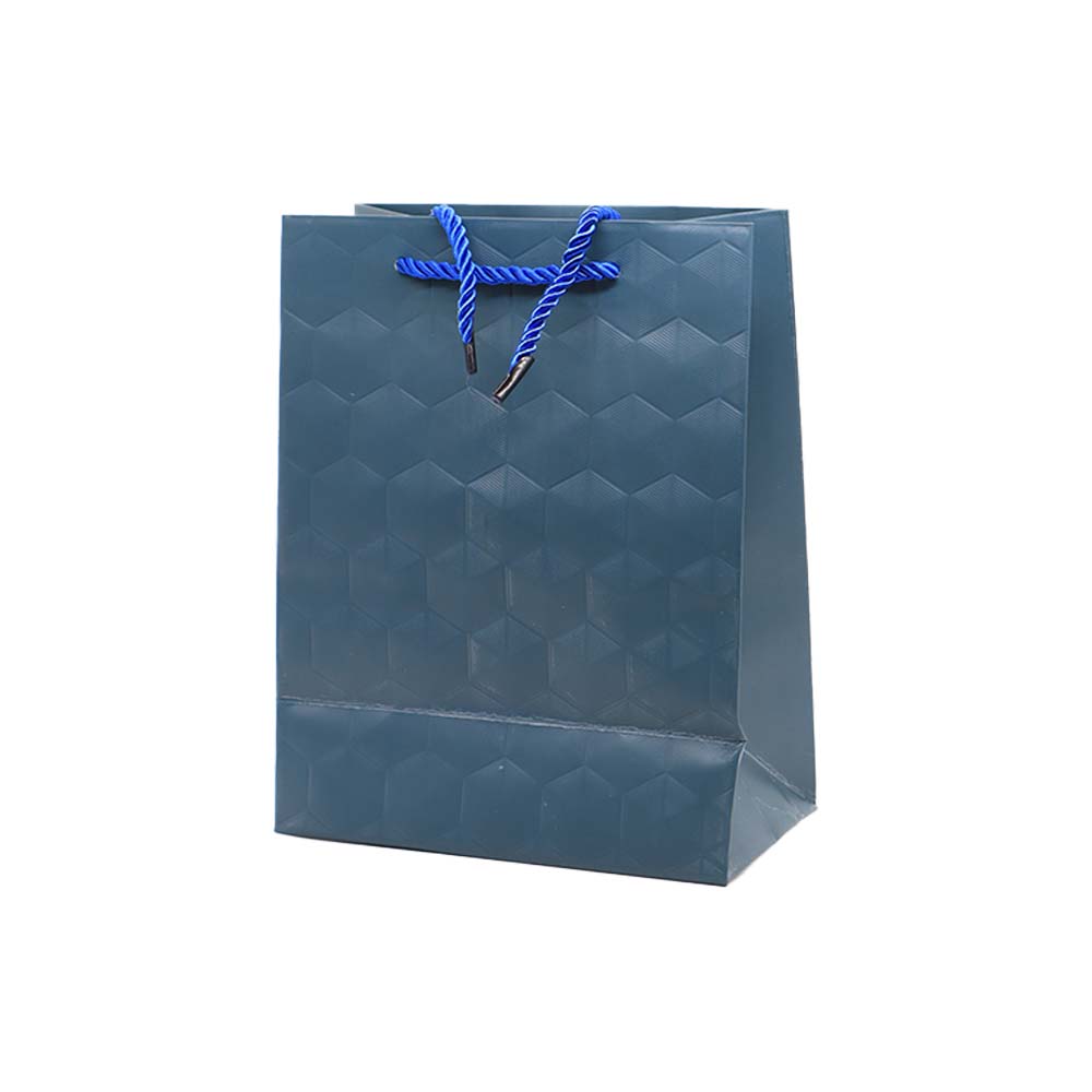 Gift Paper Bag Wave 18x23cm Medium