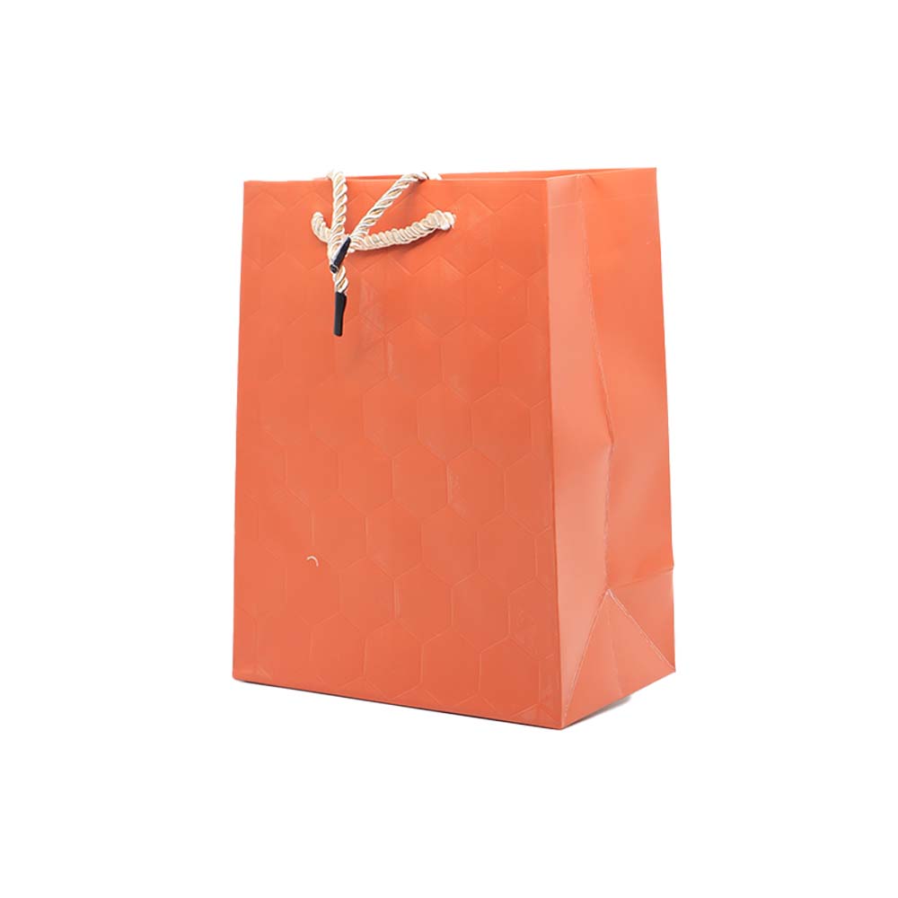 Gift Paper Bag Wave 18x23cm Medium