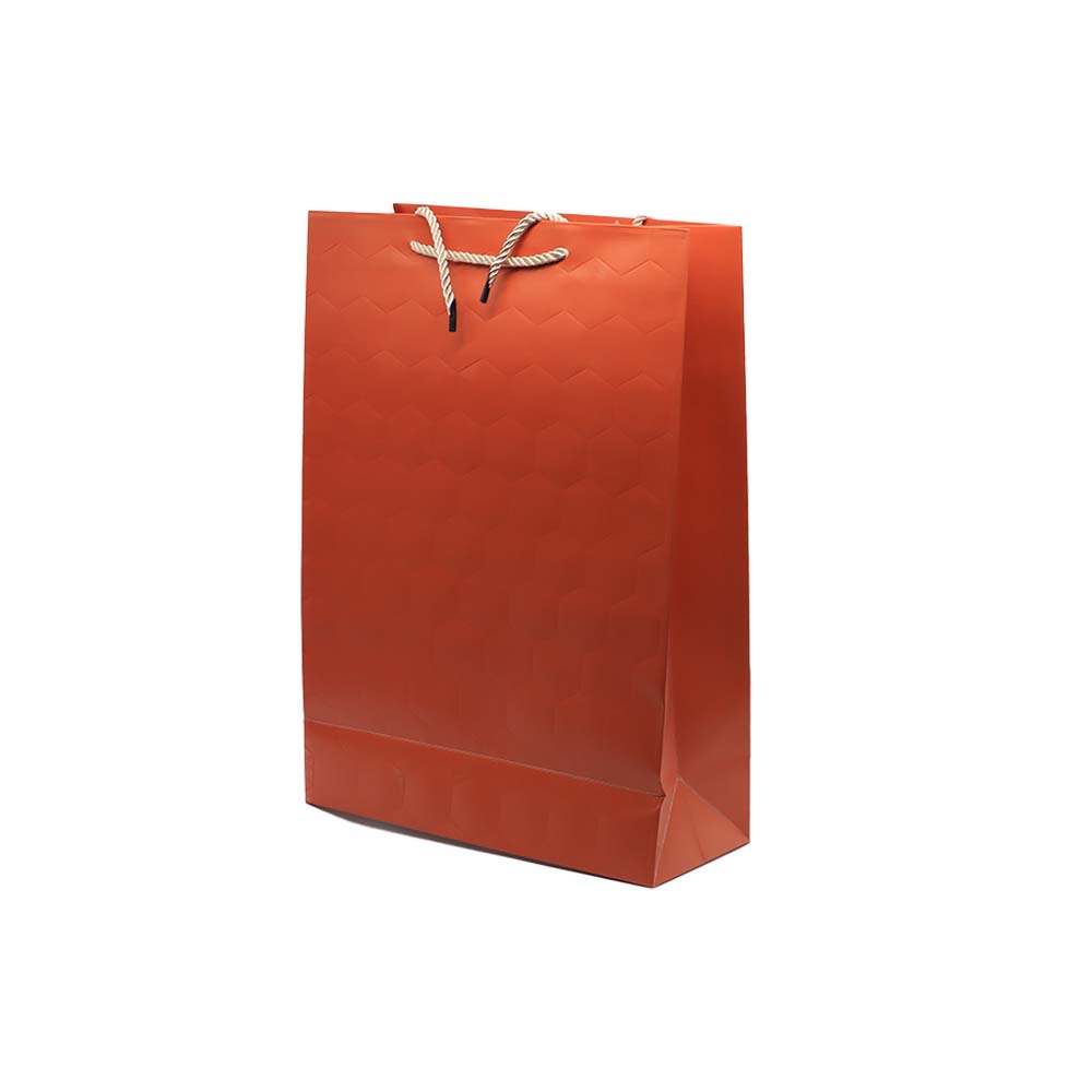 Gift Paper Bag Wave 30x42cm Extra Large