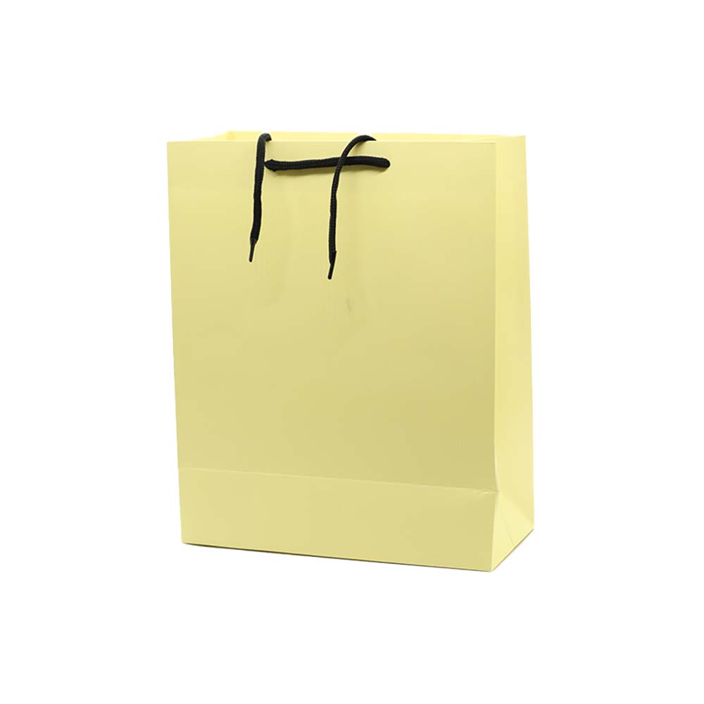 Gift Paper Bag Tag-S 26x32cm Meduim