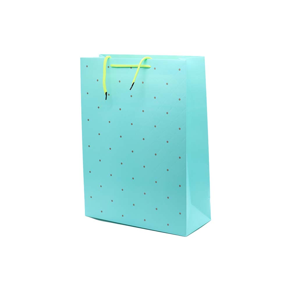 Gift Paper Bag Dots 30x40cm Large