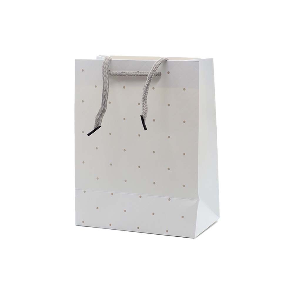 Gift Paper Bag Dots 18x23cm Small