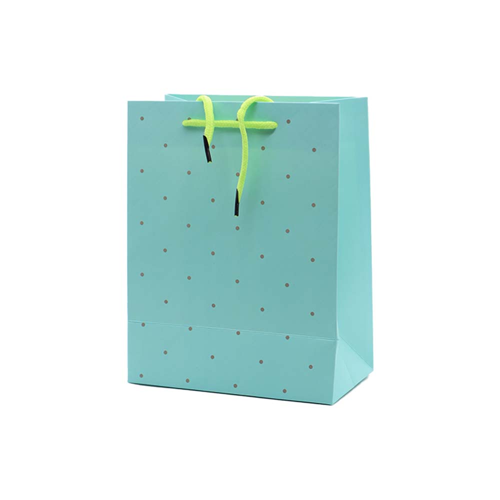 Gift Paper Bag Dots 18x23cm Small